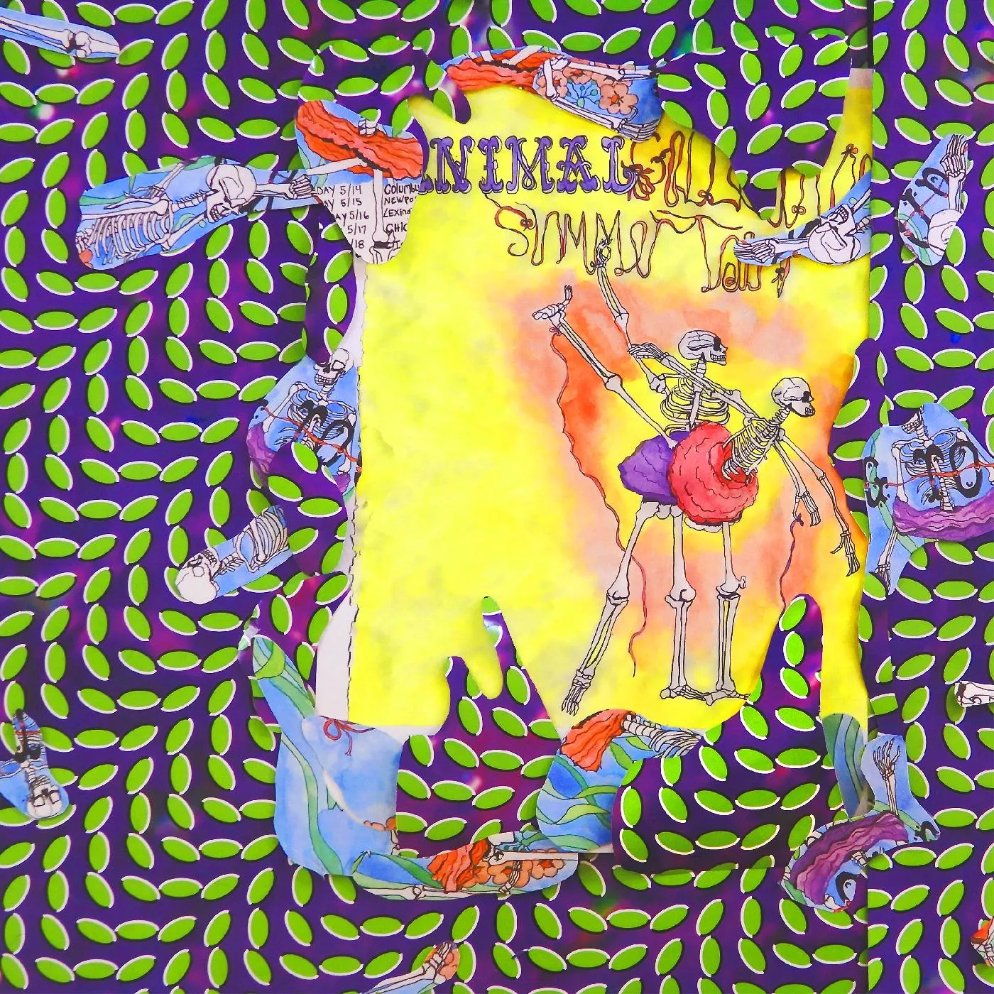 Animal Collective Ballet Slippers 3xLP Mint (M) Mint (M)