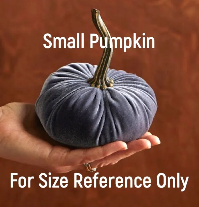 Black Velvet Pumpkin
