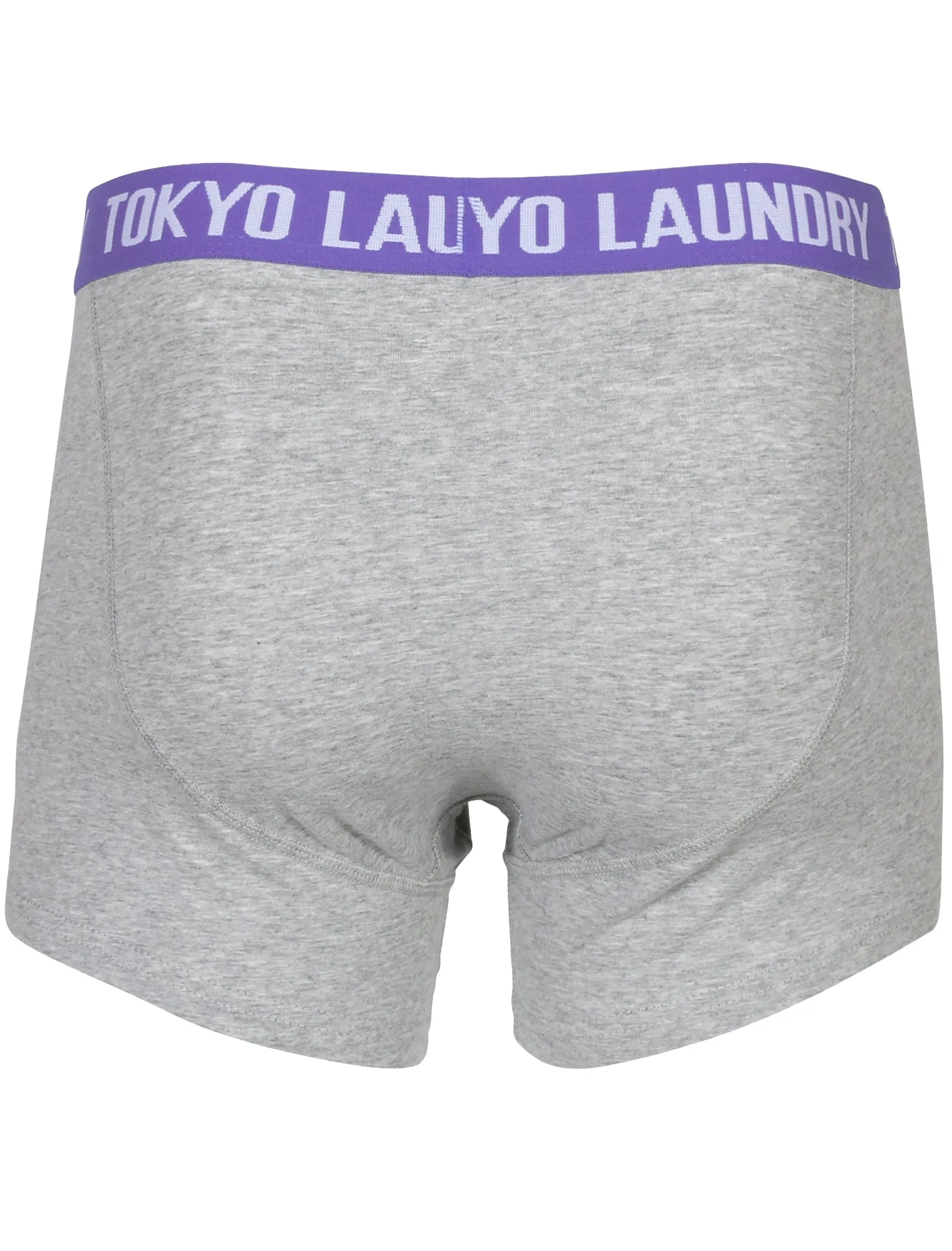 Heiron (2 Pack) Boxer Shorts Set in Harvest Pumpkin / Purple Opulence - Tokyo Laundry