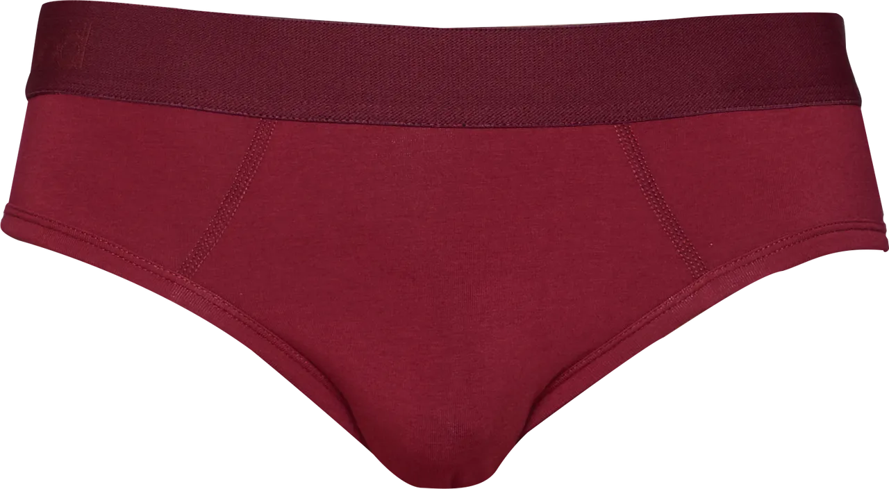Hip Brief in Burgundy Red by Wood Underwear