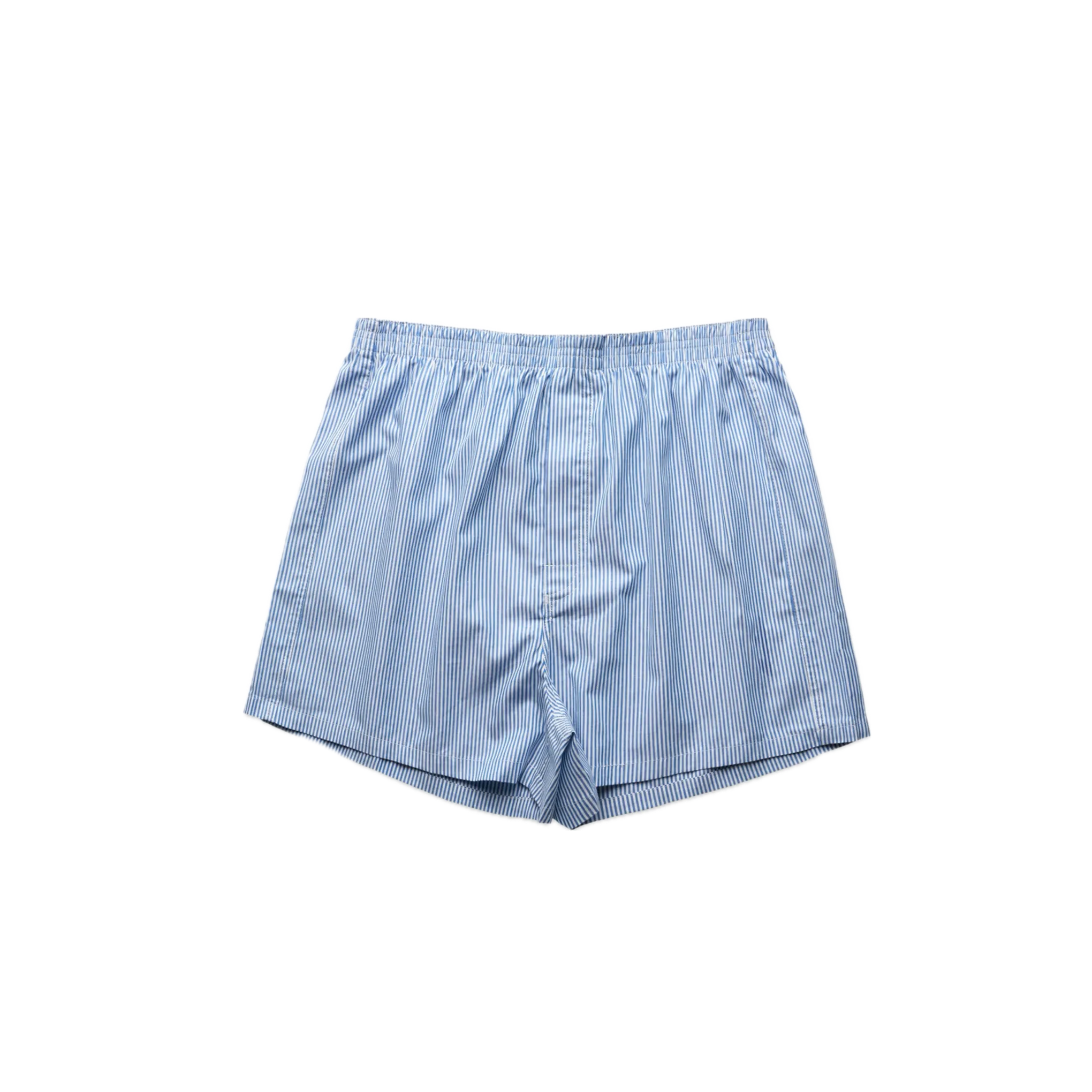 Pinstripe Briefs