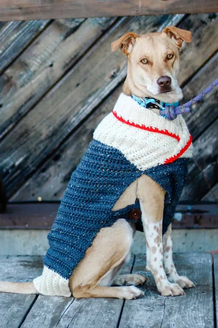 Ready to Roam Dog Sweater Crochet Pattern
