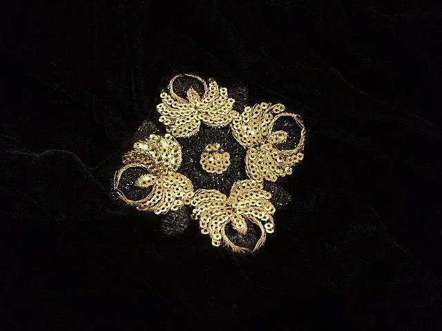 Sequin Embroidered Velvet